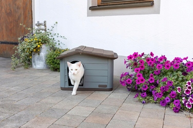 Будиночок для кота, коричневий, прямокутний, 60х40х40 см