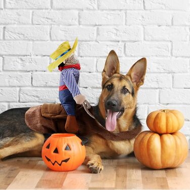 Костюм на Хелловін для собак, стиль ковбой/рейдер, розмір L