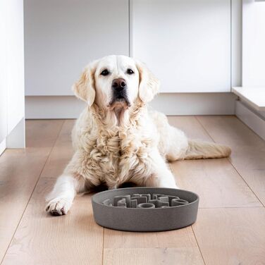 Повільний годівник для собак District 70 Bamboo Grey, діаметр 28 см