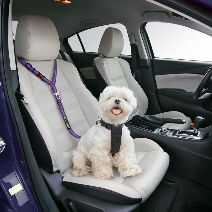 Автомобільний ремінь безпеки для собак 2-в-1, повідок та фіксатор, кріпиться до підголівника, регульований, міцний, відбиваючий, простий у використанні (2 шт., фіолетовий)