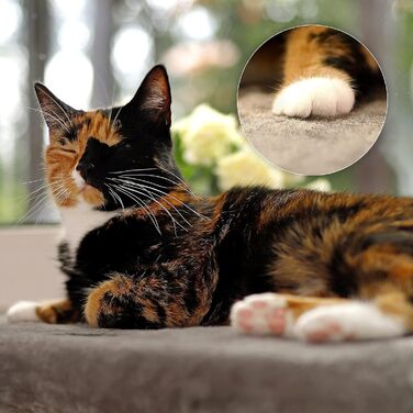 Кішка ліжко для вікна Lionto, м'яке, плюшеве, 35x50 см, для монтажу без свердління, знімний та пральний чохол, до 15 кг, темно-сірий (з написом)