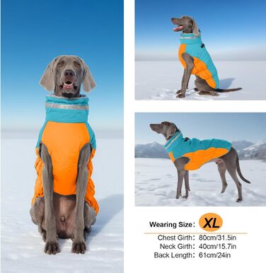Зимова куртка для собак, тепла, водонепроникна, вітронепроникна, з флісу, для прогулянок та походів (Small, Синій та Оранжевий)