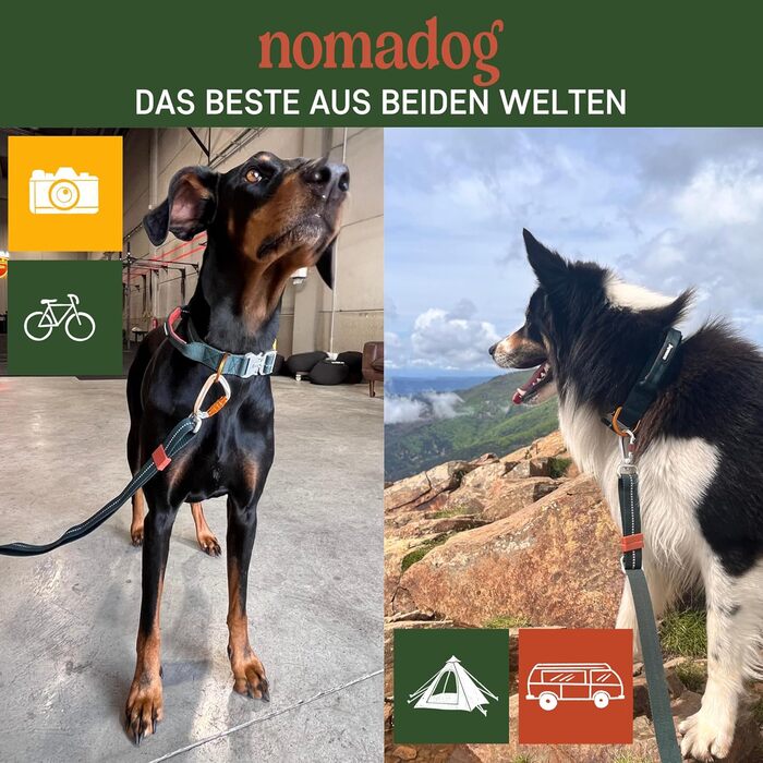 Нашийник для собак Nomadog Trailblazer з ручкою для великих собак - преміум алюмінієва застібка, міцний тактичний нашийник, регульований, з підкладкою, світловідбиваючий (L)