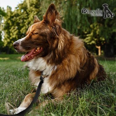 Рулетка для собак до 20 кг Bluzelle з відбиваючими смугами, 5 м, міцний карабін, найнадійніша гальма, нейлоновий ремінь, ергономічна ручка