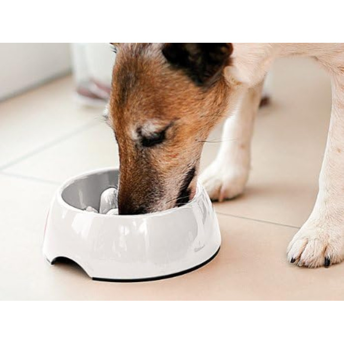 Антислизький набір для годування собак та котів Infactory, 1.2 л