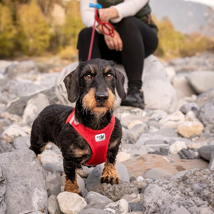 Шлейка для собак Curli Clasp Softshell, червона, 2XS