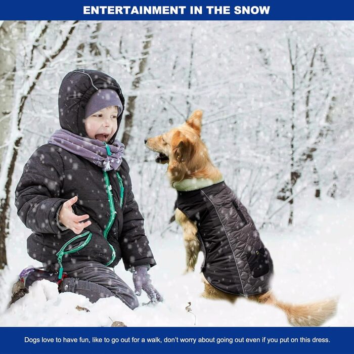 PETCUTE Зимовий теплий куртка для собак, відбиваючий, з отвором для страхувального ременя, для малих, середніх та великих собак (3XL, Сірий)