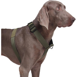 колір: зелений