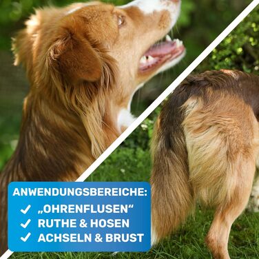 Гребінець для вичісування собак та котів BluePet Profi: для вичісування, видалення ковтунів та вузлів (синій)