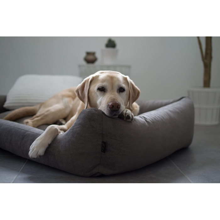 Лебон - ліжко для собак Гордон - Бежево-коричневе, м'яке, з товстою лежанкою, 3 розміри, можна прати (M)