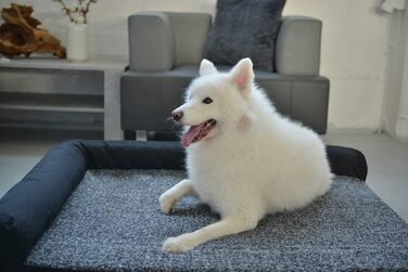 М'яке ліжко для собаки RAIKOU з плюшем, миюче, сіре 80x60x7 см, подушка 30x25 см