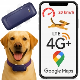 GPS-трекер 4G для тварин: локалізатор для собак та котів без абонплати