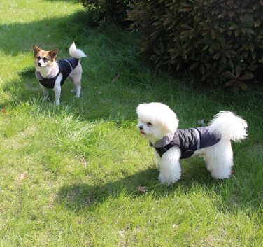 Водонепроникний теплий зимовий одяг для собак, Blu, S - JoyDaog