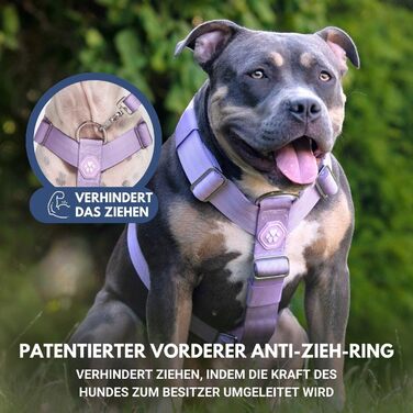 Нашийник для собак Spark Paws No-Pull – фіолетовий, L (36-68 кг) – для великих порід, Pitbull, Боксер