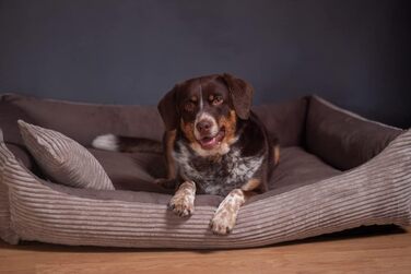 4L Textil Hundebett Molly - зручне ліжко для собак середніх порід, м'який велюр, коричневий колір (100x80 см)