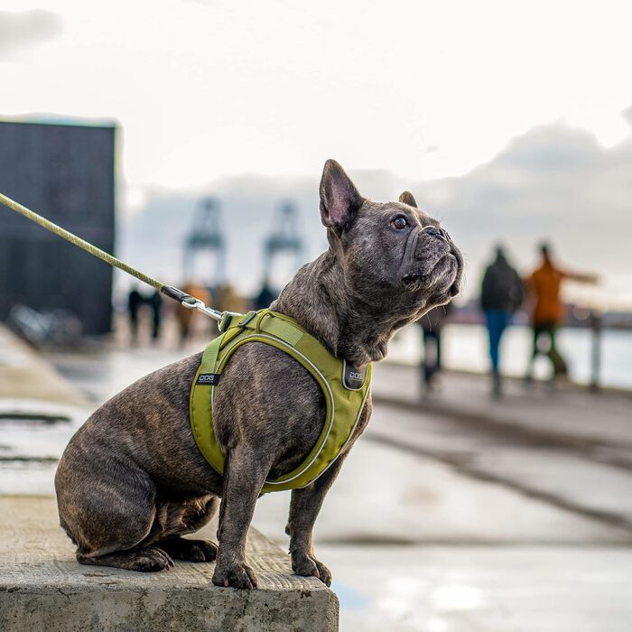 Шлея для собак DOG Copenhagen Comfort Walk Go, розмір M, мокко (коричнева)