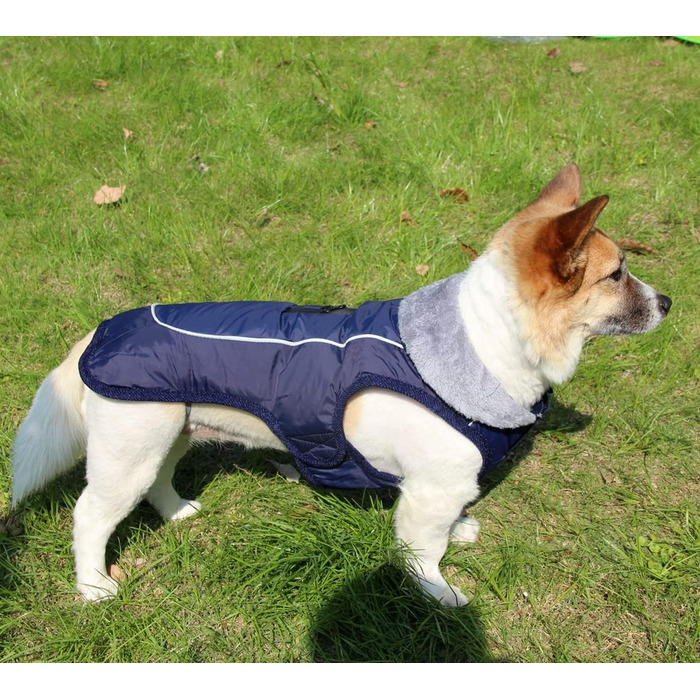 Флісова нашийникова стрічка JoyDaog для собак середніх порід, водонепроникна куртка для собак з бавовни, тепла зимова, (S, Синій)
