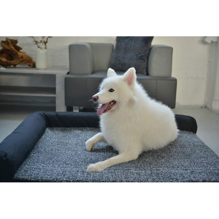 М'яке ліжко для собаки RAIKOU з плюшем, миюче, сіре 80x60x7 см, подушка 30x25 см