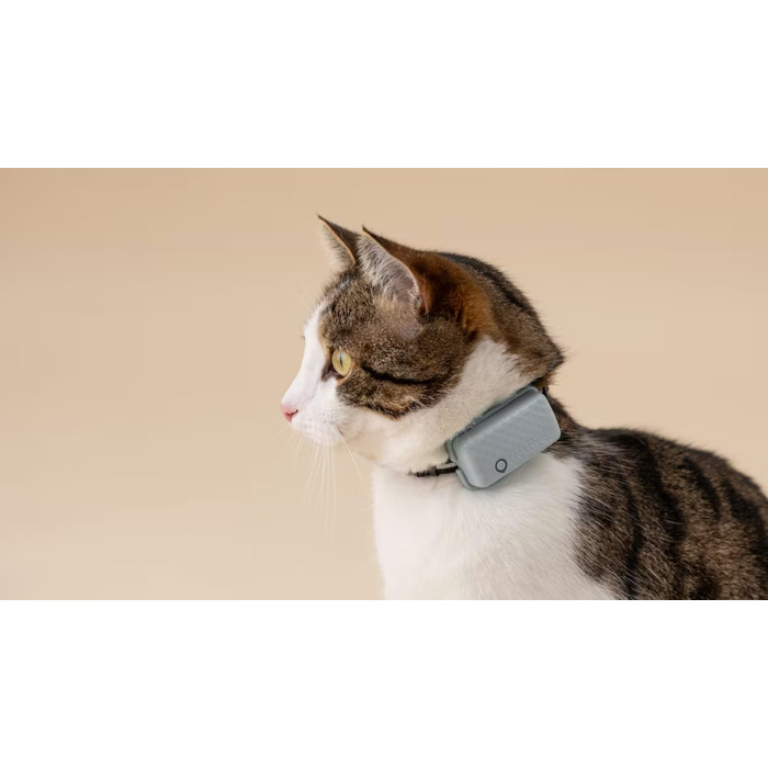 GPS-локатор для котів Tractive CAT Mini — світло-зелений