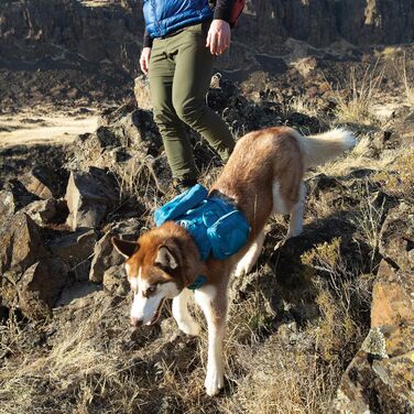 Водна пляшка для собак Kurgo RSG, знімний чохол, сумісна з MOLLE, кріплення для службового нашийника, блакитна, універсальний розмір