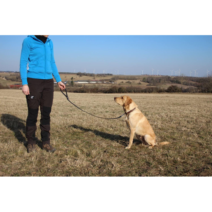 Шкіряний повідок Activity4Dogs для середніх і великих собак, 1 м, 2 см, чорний, короткий, німецький, для дресирування