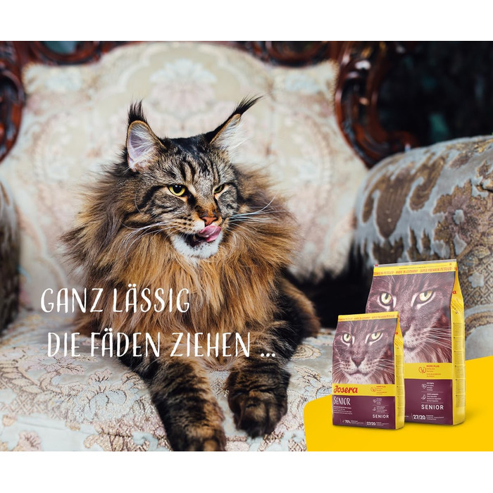 Сухий корм для літніх котів JOSERA Senior, без пшениці, 10 кг