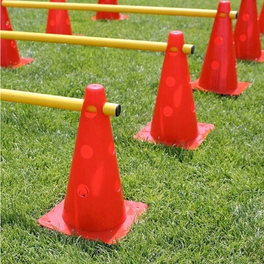 Тренувальний набір для собак Activity Agility: смуга перешкод (12 стійок)