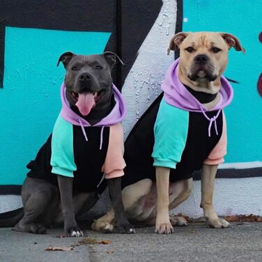 Світшот для собак Spark Paws Cyber Punk – преміум якість, м'який та зручний, підходить для всіх порід, розмір M