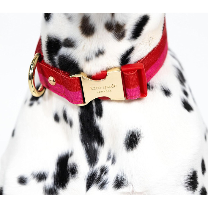Нашийник для собак Kate Spade New York, регульований, 39,4-61 см, з золотою металевою пряжкою, для середніх і великих порід, червоно-рожевий