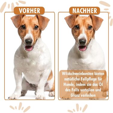 Бурштук для собак та котів 2-в-1: розчісування та вичісування | Для короткого та середнього хутра | Гребінець для підшерстка | + Посібник з догляду | 1 шт.