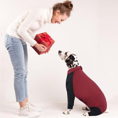 Комбінезон для собак, теплий, вітронепроникний, для маленьких, середніх та великих собак (Червоний, M)