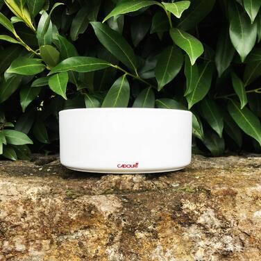 Керамічна миска для собак з іменем - 1.300 мл | Персоналізована миска для корму та води