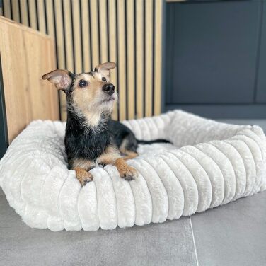 Крісло-ліжко для собак Wallace & Jones Mary - Пісок | M | 71 x 58 x 18 см | М'яке місце для сну, кошик для собак