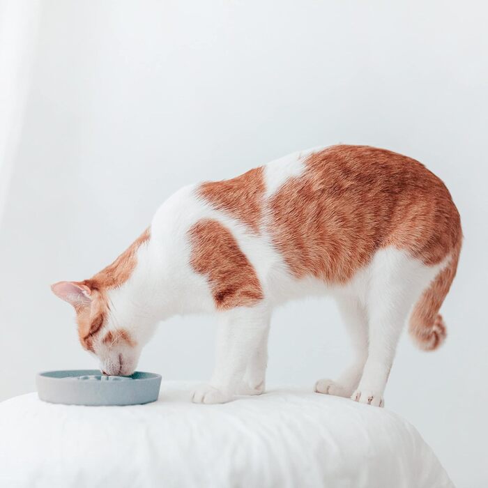 District 70 Повільний годівник для котів з бамбуку, діаметр 13,5 см, колір Ice Blue