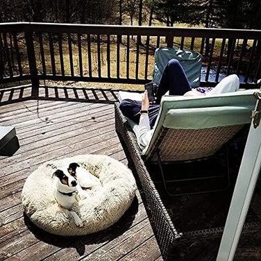 Заспокійливе ліжко для собак, у формі пончика, з плюшу, з блискавкою, придатне для прання в пральній машині, для маленьких собак, котів, кошенят та цуценят, 50 см (M/60 см, Бежевий)