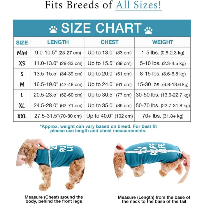 Захисний боді для собак після операції (для сук та самців), боді після кастрації, альтернатива нашийнику (блакитний, S)