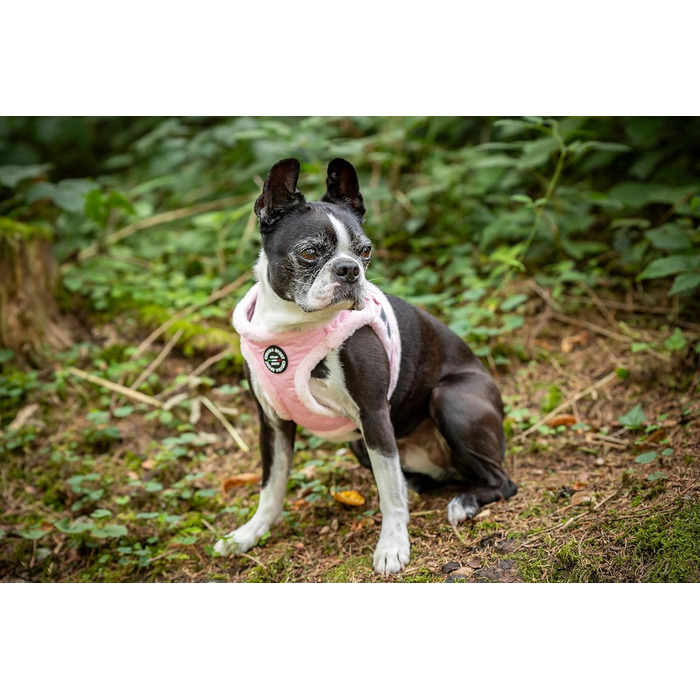 М'який нашийник для собак CHIARA MIA, розмір M (з водонепроникного матеріалу, регульований, з світловідбиваючими смугами), колір: Рожевий