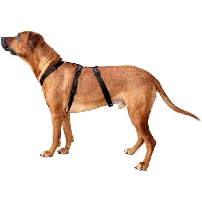 Професійний посуд Wolters No Escape, розмір S (30-40 см), чорний колір