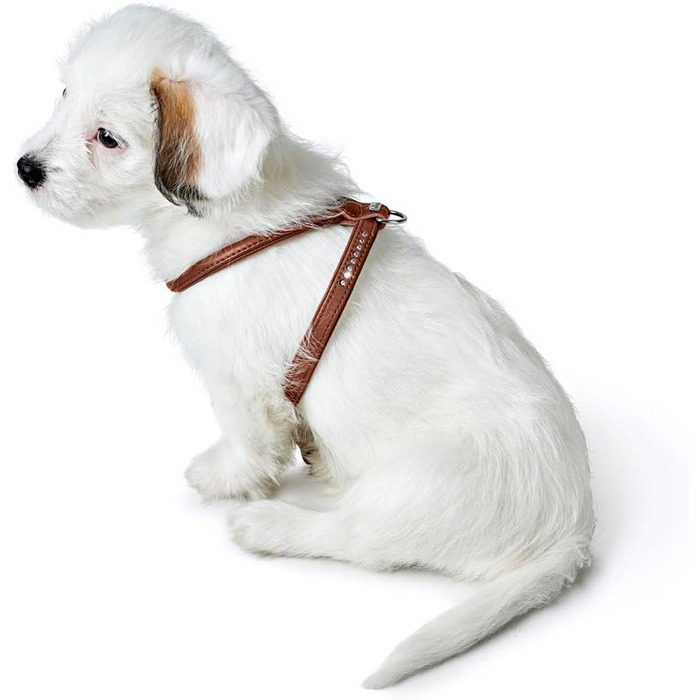 Нашийник для собак HUNTER Round & Soft Canadian UP, колір: Cognac, м'яка, еластична шкіра, оброблений край, не травмує шерсть, екологічний, Made in Germany, розмір: S/1 S/1 Cognac