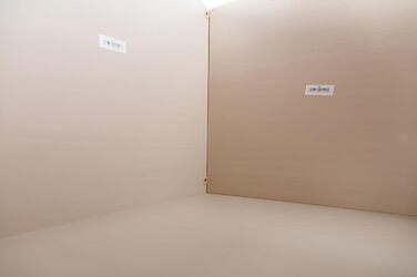 Будиночок для котів Noa з ECOFLEX для дому та вулиці з котячим люком