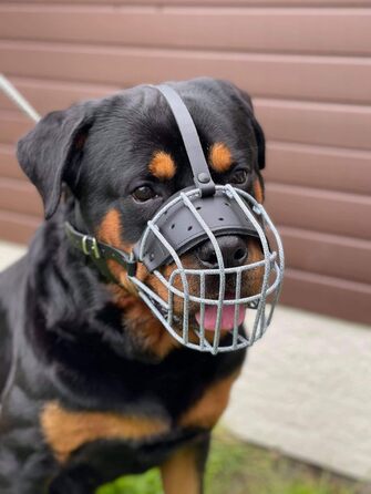 Міцний нашийник-маска для собак з дротяної сітки, Rottweiler, Mastiff, Golden Retriever та інші (шкіряний, чорний, R4)