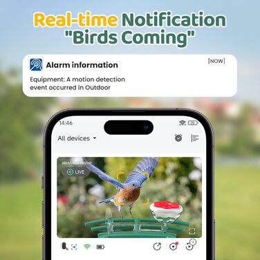 Кормушка для птахів з камерою Vogelhaus: сонячна, 2K, Wi-Fi, водонепроникна (IP66), для любителів птахів, з AI-відстеженням, безпечна для білок