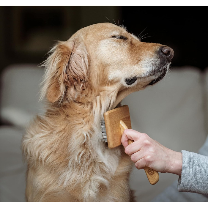 Щітка для грумінгу Mikki 6280033 з бамбука з кулькоподібними кінчиками для середньої/довгої/кучерявої шерсті собак та котів, велика, L, 99 г, коричнева
