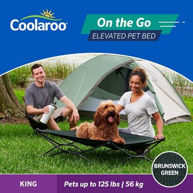 Підвищене охолоджувальне ліжко для собак Coolaroo, складне, портативне, для подорожей і кемпінгу, розмір Kingsize, зелений колір