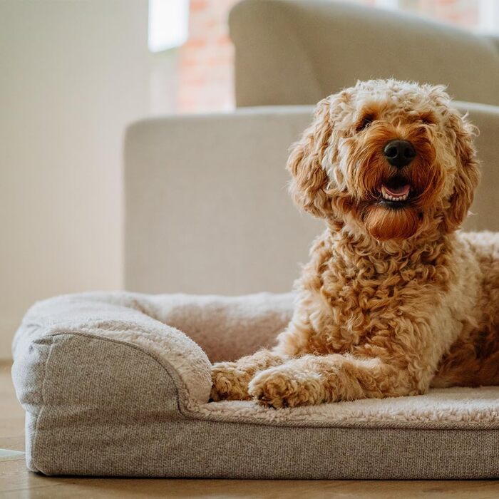 Ортопедичний кутовий диван Nobby CALBU бежевий 100 x 65 x 19 см