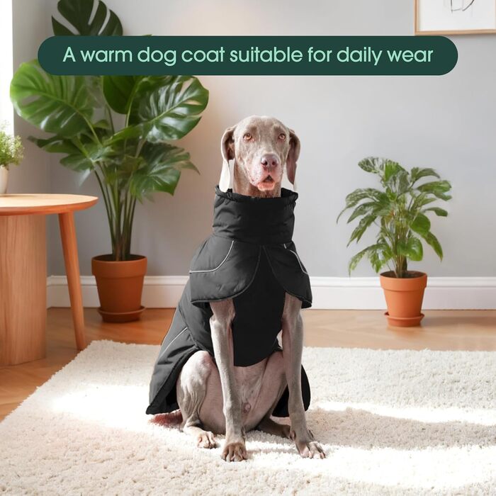 Тепла водонепроникна куртка для собак Kuoser, чорна, розмір M