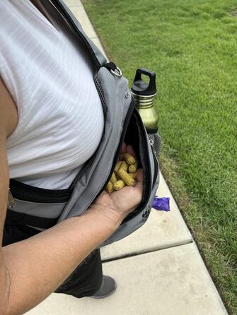 Сумка для тренування собак Paw Leckerli, сіра, стандартна (1 шт.)