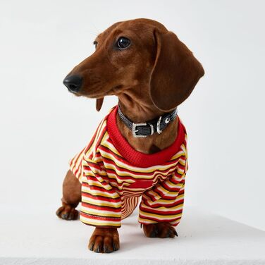 Світшот-куртка для дрібних та середніх собак, теплий пуловер, смугастий, з тонкого флісу, комбінезон для собак, одяг для тварин, двоногий одяг для мініатюрних такс, одяг для собак, червоний S