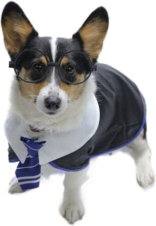 Сорочка для собак на Хелловін Impoosy, кумедний костюм кота-чаклуна, мила одяг з окулярами (розмір M, обхват шиї: 35,6 см), блакитний