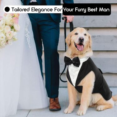 Костюм для собак 